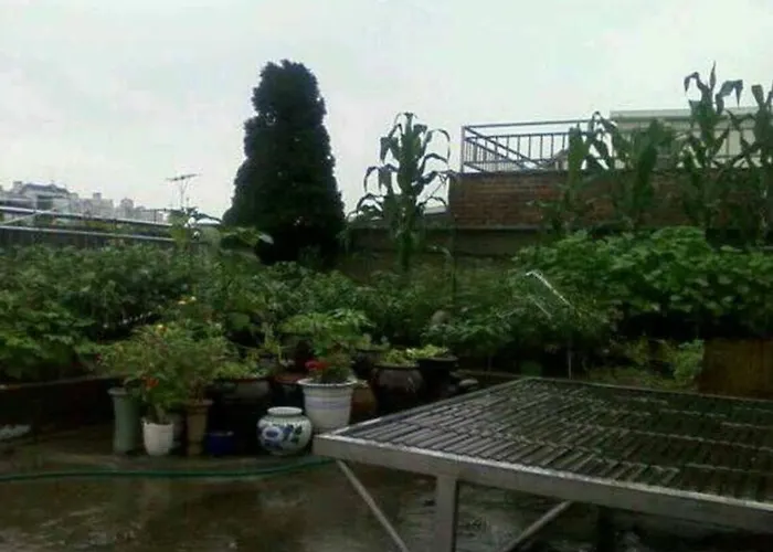 ゲストハウス Large 2br 66sqm Free Parking Near Kspo And Lotte World I Entire Place I 4th Floor No Elevator