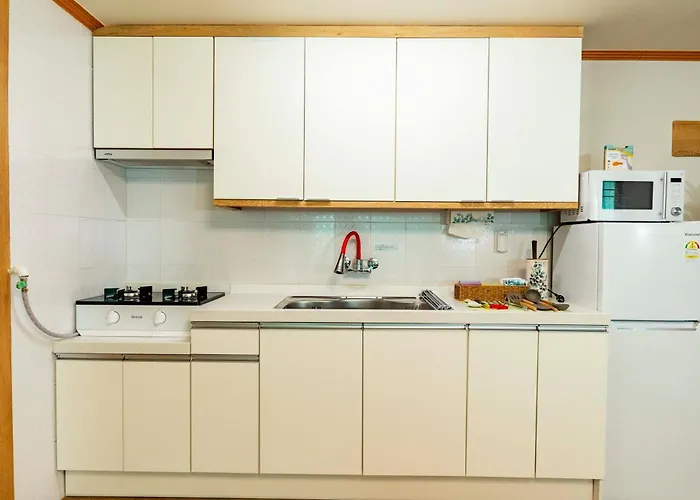Large 2br 66sqm Free Parking Near Kspo And Lotte World I Entire Place I 4th Floor No Elevator 게스트하우스 4*